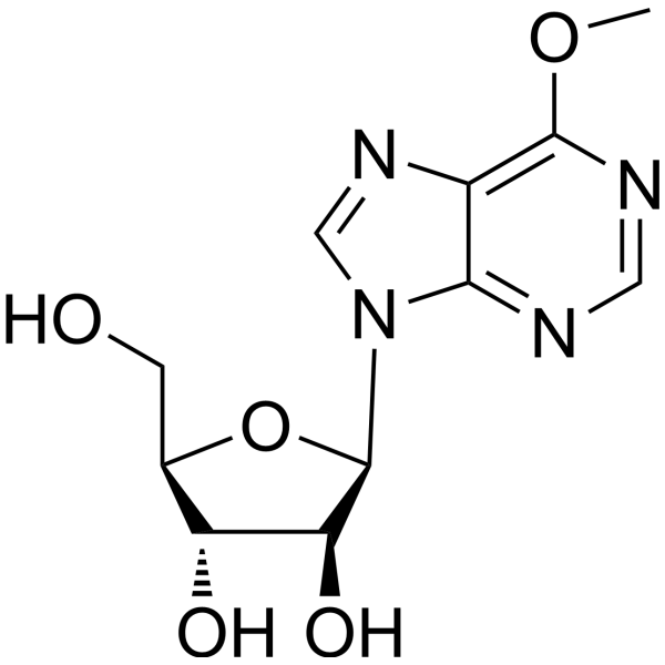 6-Methoxypurine arabinoside (Ara-m) 91969-06-1